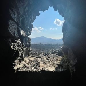 Meet your Posher, Carley